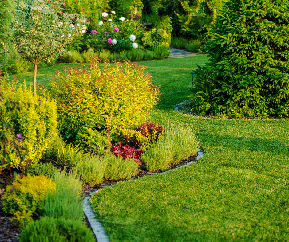 شركة لاندسكيب